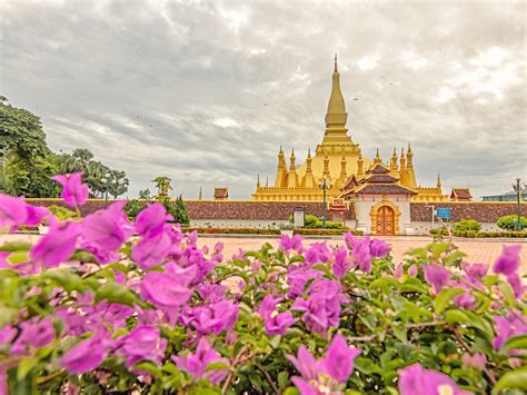 Things to do in Laos 2024 | Pelago by Singapore Airlines