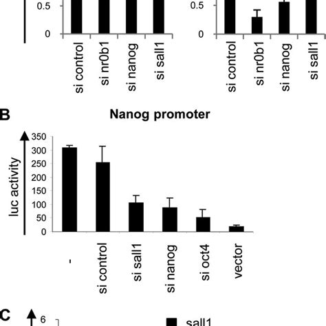 Sall1 Regulates The Expression Of Nanog A Nanog Sall1 Oct4 And