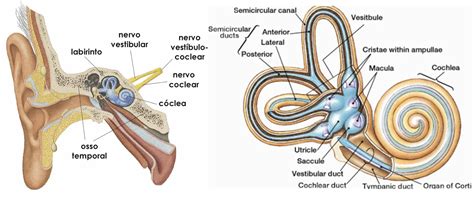 Para Que Serve O Vestibular - 5