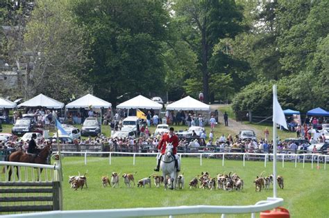 PHOTOS: The Radnor Hunt Races' pre-race festivities | PhillyVoice