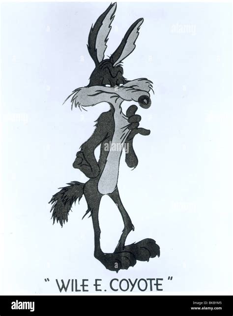 Wile E Coyote Hi Res Stock Photography And Images Alamy