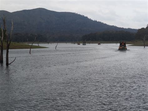 Munnar And Thekkady Lush Green Tea Gardens To Aromatic Spice Plantations Tripoto