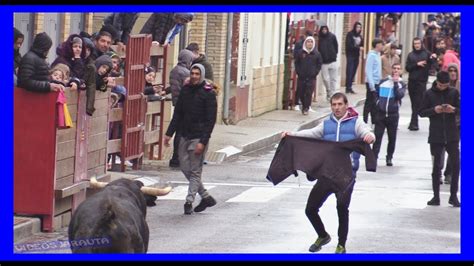 Castej N Navarra Tarde Vacas Calle Sabado Abril Ganad