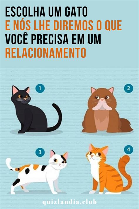 Escolha um gato e nós lhe diremos o que você precisa em um relacionamento