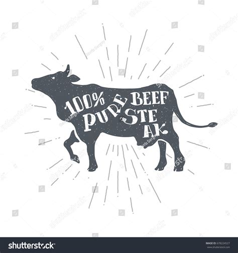 Hand Drawn Vintage Cow Sketch Style Stock Vector (Royalty Free ...