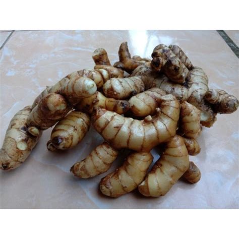 Jual TERBAIK KUNYIT TEMU PUTIH SEGAR 500G CURCUMA ZEDOARIA HERBAL