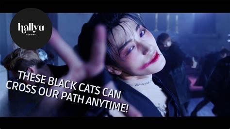 Ateez The Black Cat Nero Halloween Performance Video Youtube