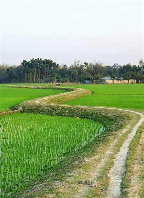 A Dirt Road In The Middle Of A Green Field