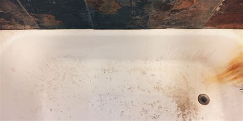 Is Mould In Bathroom Dangerous Artcomcrea