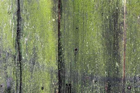 Premium Photo | Texture of a weathered wood wall