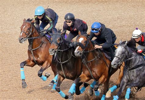 【皐月賞】中山・芝2000メートルならエイシンフラッシュ産駒が侮れない！オニャンコポン激走データ Umatoku 馬トク