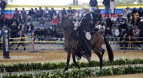 Todo listo para la Exposición Equina grado B en Chipaque Cundinamarca