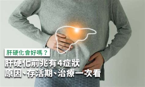 肝硬化前兆4症狀，肝硬化原因、存活期、分級治療解析 康健雜誌