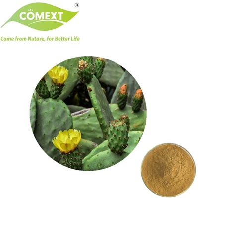 Comext Factory Halal Kosher Usa Warehouse Wholesale Cactus Extract