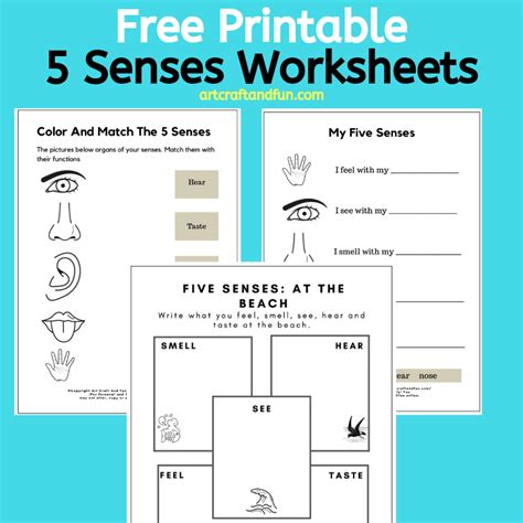 5 Senses Printable Worksheets Worksheets Library