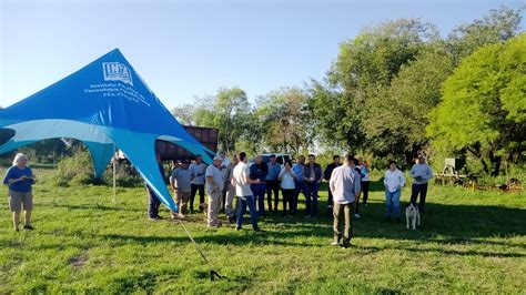 Manejo Integrado De Malezas Uso Eficiente De Fitosanitarios Y