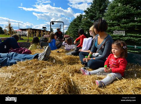 Kids Hayride