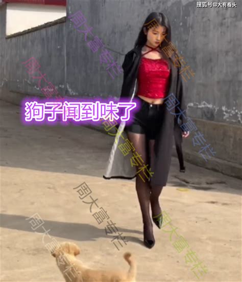 河南：女子打扮时髦回村，村里的狗出门迎接，网友：小狗闻到味了 生活百态