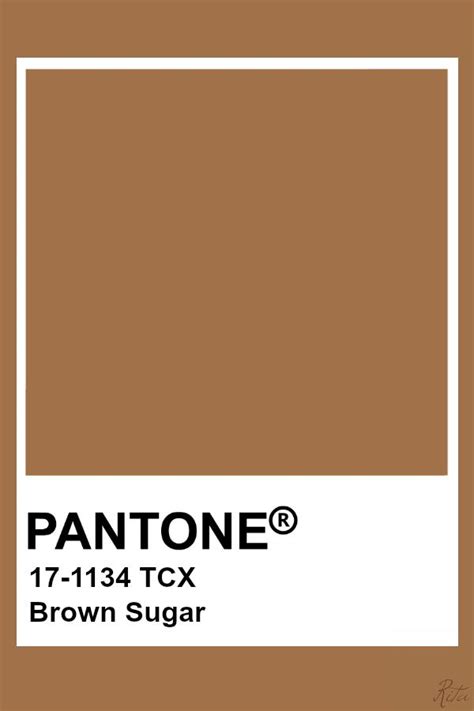 Brown Color Swatches Paint - Sylvan News