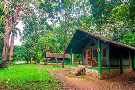 The Ultimate Guide To Kali Adventure Camp Dandeli Jungle Resort