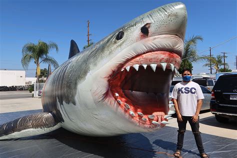 Giant Inflatable Megalodon Shark Los Angeles CA