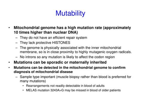 Ppt What Are Mitochondria Powerpoint Presentation Free Download Id 6814674