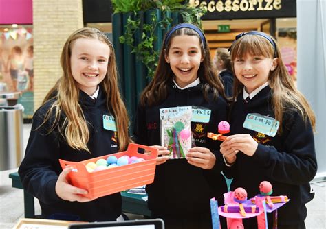 Primary Schools Young Enterprise Ni