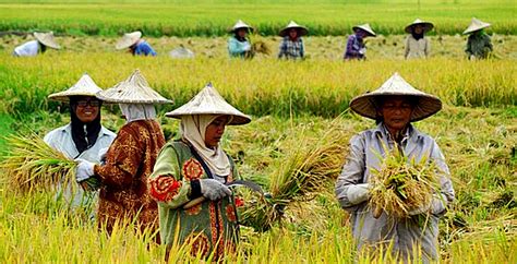 Pengertian Produksi Adalah Fungsi Tujuan Dan Jenis Produksi