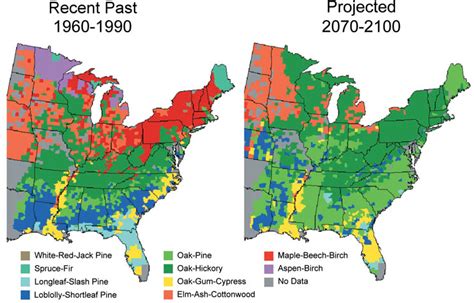 Climate Impacts On Forests Climate Change Impacts Us Epa