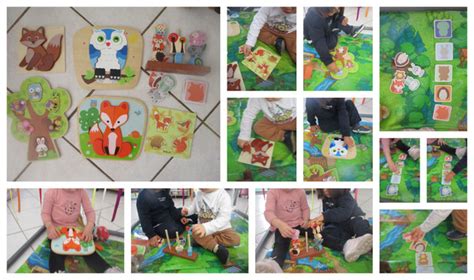 Les Puzzles Des Animaux De La For T