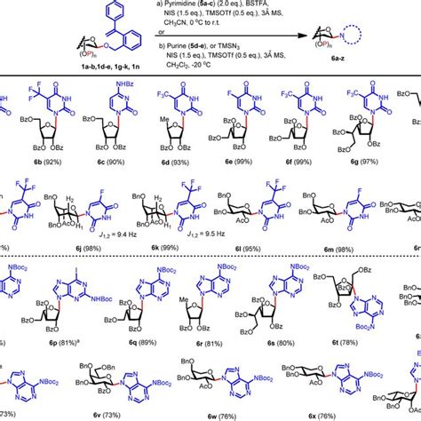 Scheme Scope Of Synthesis Of Nucleosides With Pvbn Glycosides