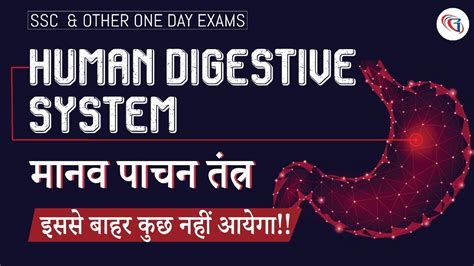 Human Digestive System For Ssc And