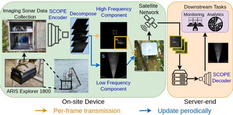Literature Review Self Supervised Compression And Artifact Correction