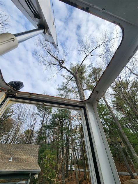 adams tree service 9