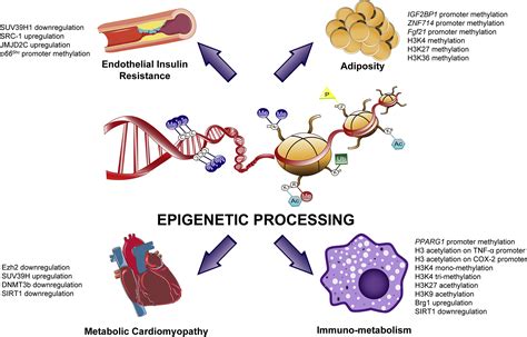 What Is Cardiometabolic Syndrome Captions Profile