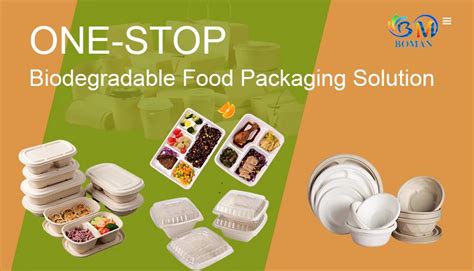 Biodegradable Pulp Packaging Box Sugarcane Bagasse Pulp Round Bowl With