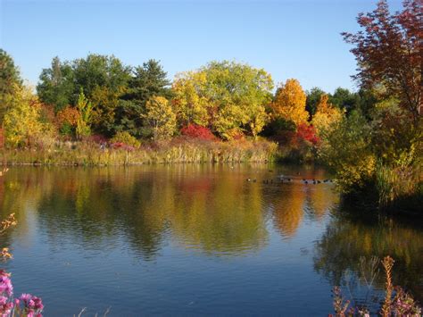 Kathryn Albertson Park Boise Idaho Photo By Nan Pelletier Photo