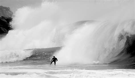 The Wedge Californias Mutant Wave The Inertia