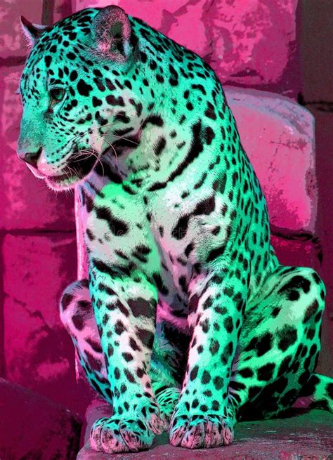 Pop Art Jaguar Icon with Color Spots. Stock Photo - Image of beautiful ...