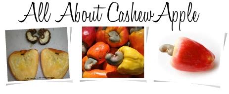 The Earth of India: All About Cashew Apple in India