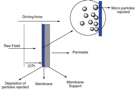 Membrane Filtration Procedure