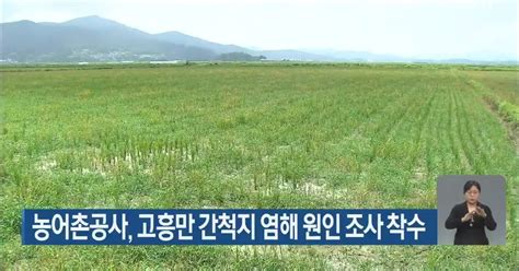 농어촌공사 고흥만 간척지 염해 원인 조사 착수