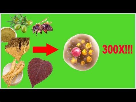 8 Foods That Increase Brown Fat In Your Body Naturally | Metabolism ...