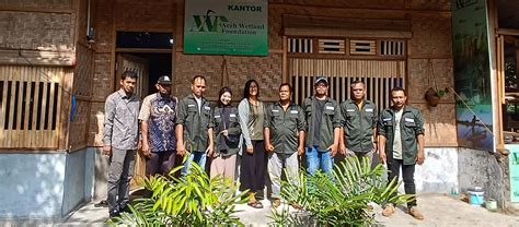 Hutan Bakau Rawa Gambut Perlindungan Lahan Basah Di Aceh Selamatkan