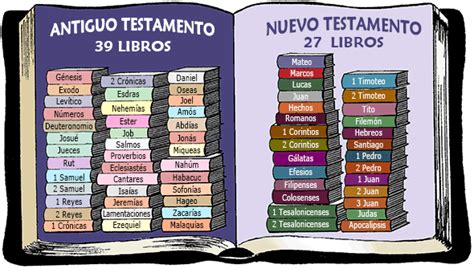 Todos Los Libros Dela Biblia Imagui