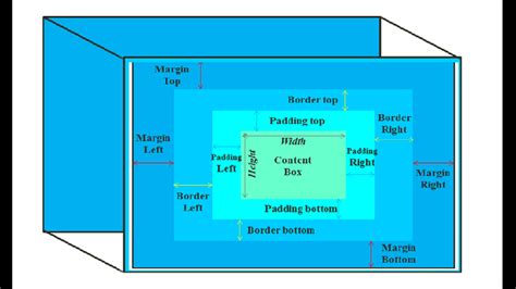 Css Box Model Tutorial Css Box Model Explained Css Images