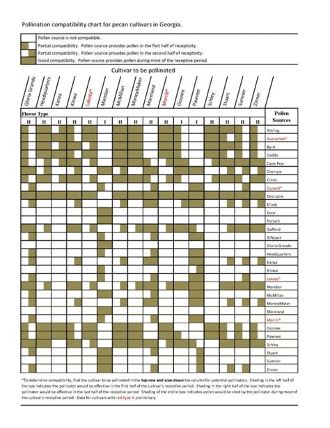 What Pecan Pollinator Should I Plant Tattnall County Extension