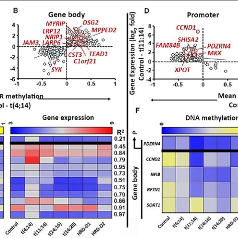 DNA Methylation Differs By Myeloma Subgroup A The Median DNA