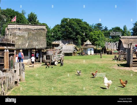 Chickens Ancient Dwellings Inside Ramparts In Mountfitchet Castl Hi Res