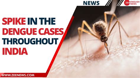 Sudden rise in Dengue cases in India, what are numbers in different states? | Zee News